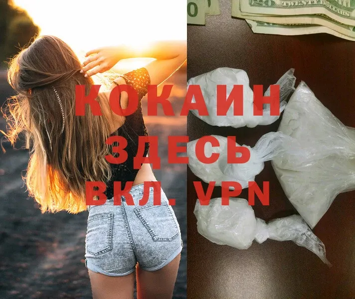 COCAIN Fish Scale  МЕГА ССЫЛКА  Котельниково 